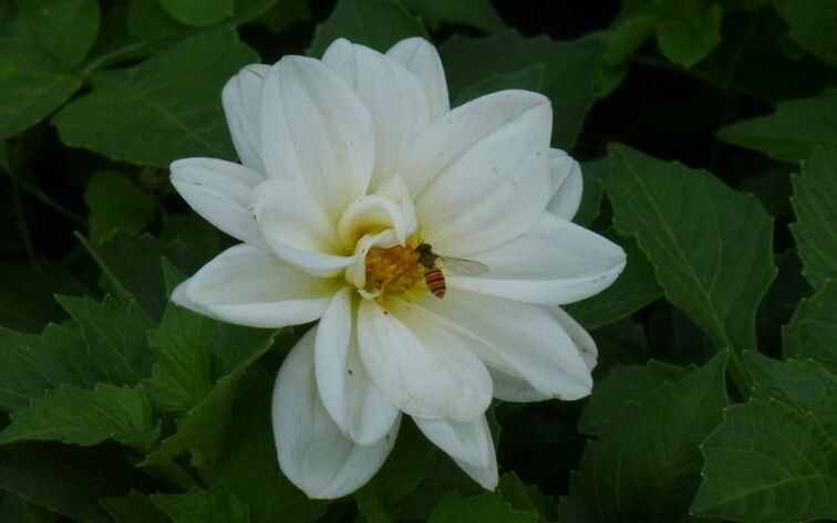 脾胃差,孩子秋季问题多?别慌,做1件事,喝2种水,坚持就能改善