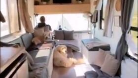 路客寻记 第一季,穿越时空的奇妙旅程